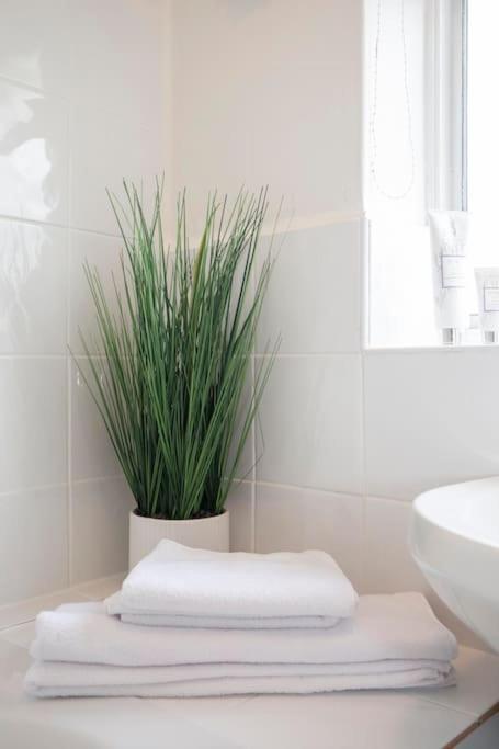 3 Bed House/Garden/Wi-Fi/Parking/Central Location Villa Guildford Kültér fotó